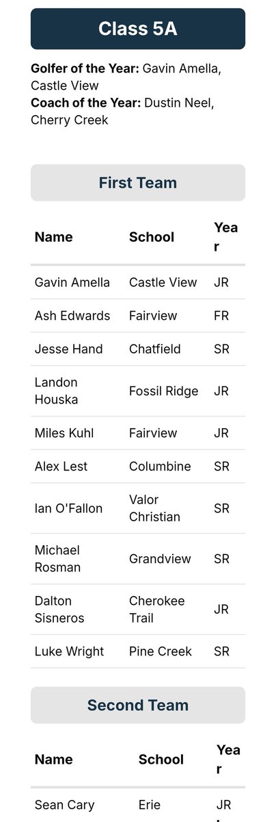 2nd Team All State for Jr Sean Cary!!