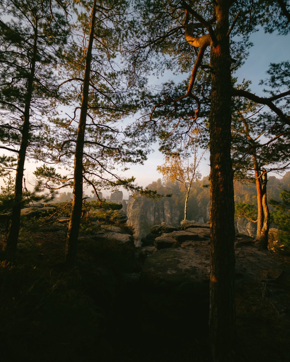 michaelboegl's tweet photo. Autumn in Germany 🍂 https://t.co/Ug66zB44yB