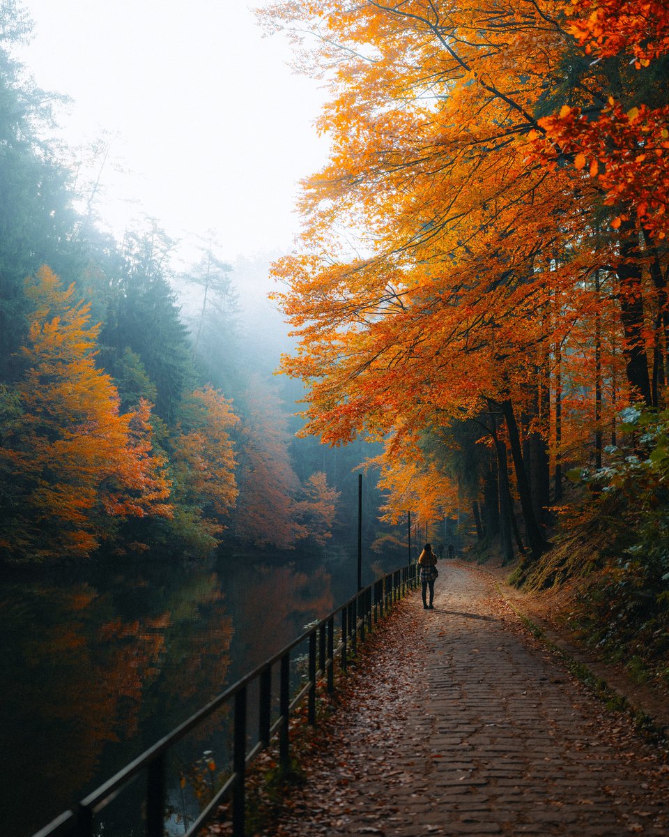 michaelboegl's tweet photo. Autumn in Germany 🍂 https://t.co/Ug66zB44yB