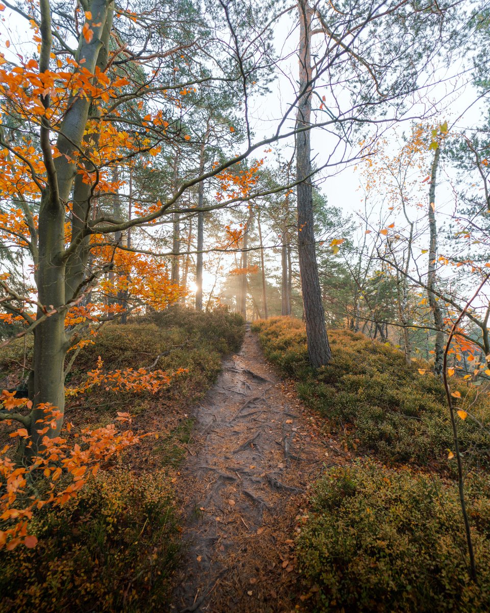 michaelboegl's tweet photo. Autumn in Germany 🍂 https://t.co/Ug66zB44yB