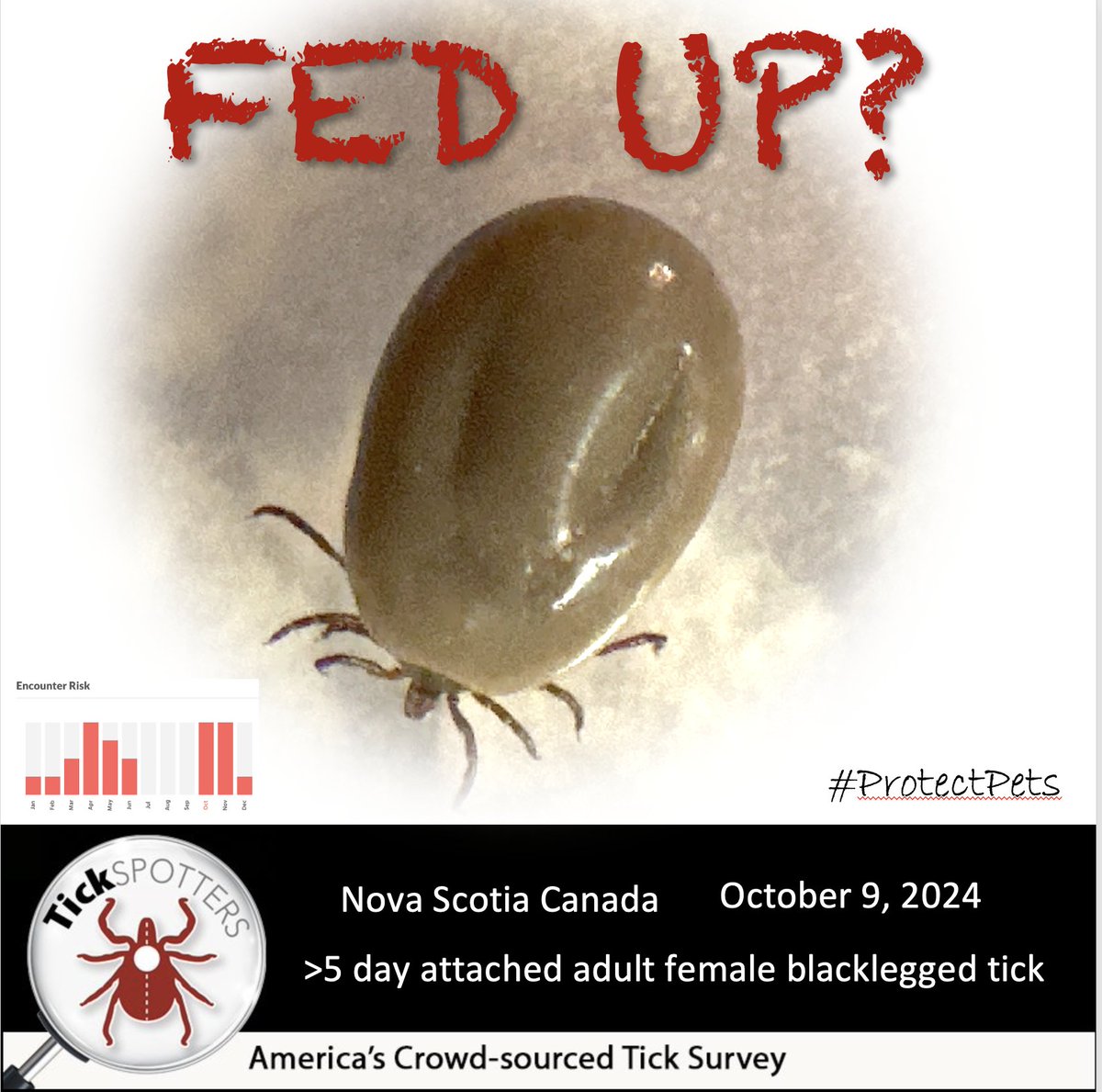 “Why won’t the ticks just go away?”
“No ticks since July!”
“I thought  tick “season” was over?”
Just a few of the comments we hear this time of year.
BeReadyForFallTicks—more info @ web.uri.edu/tickencounter/…