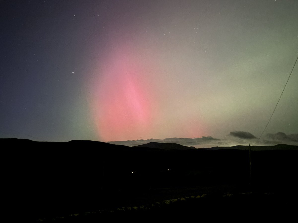 Llewyrch yr arth ym Mhenmachno!