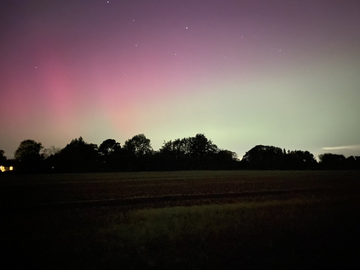 sophieraworth tweet media