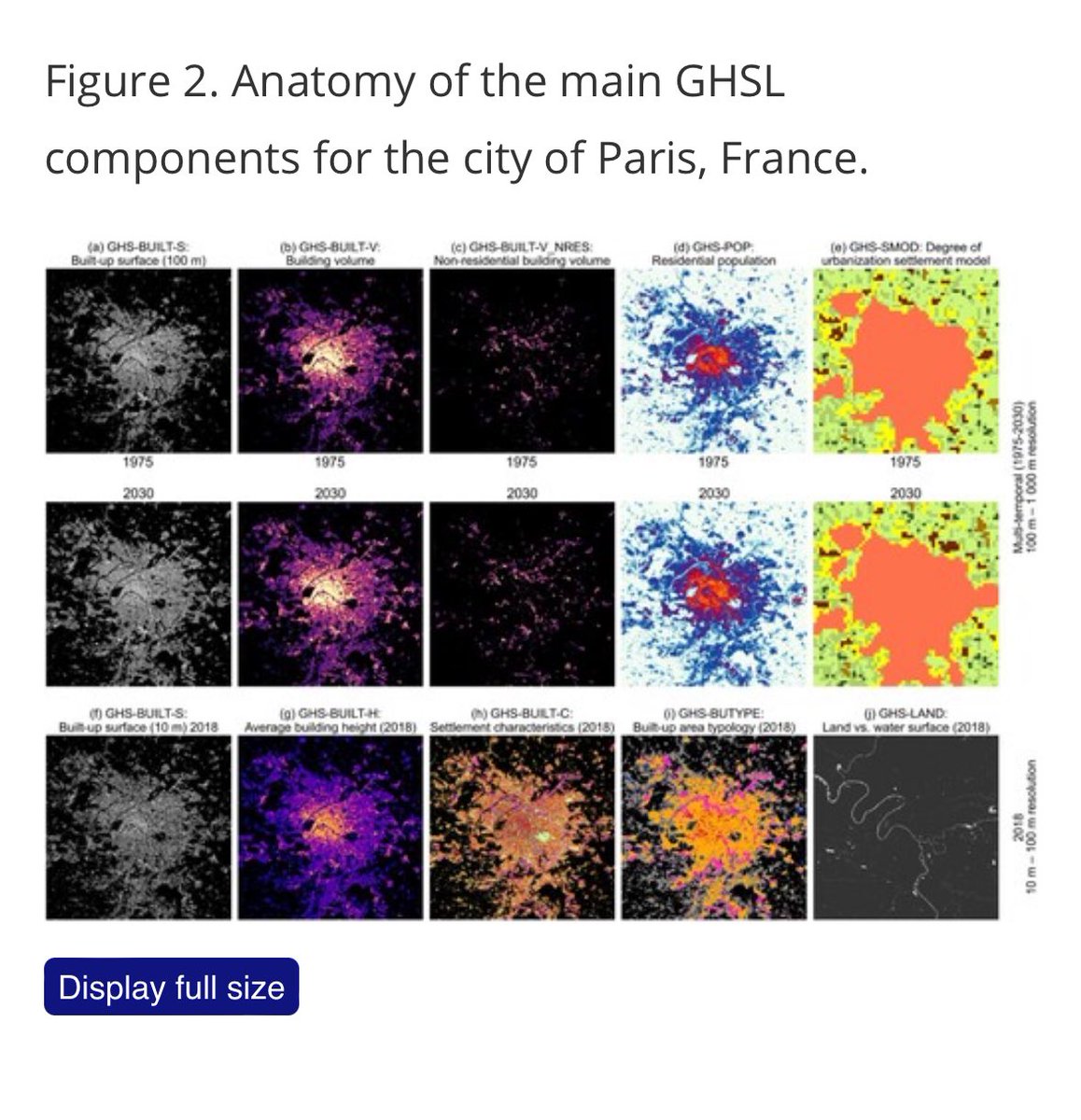 Orwell2024 tweet media