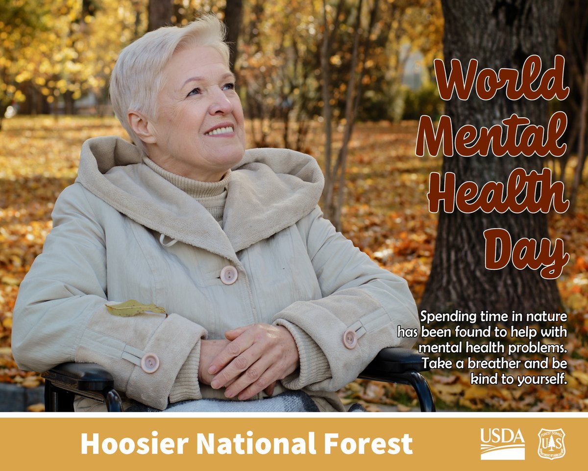 Hoosier National Forest tweet media