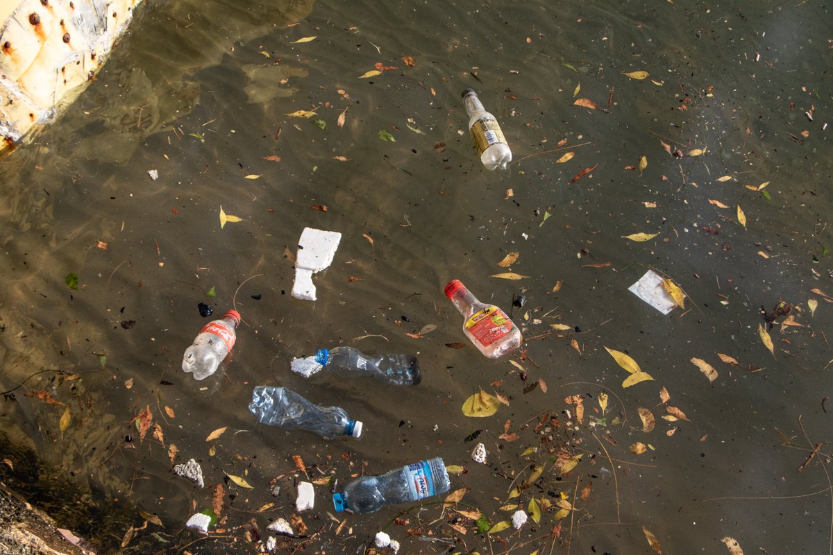 James Wakibia #PlasticTreatyNow tweet media