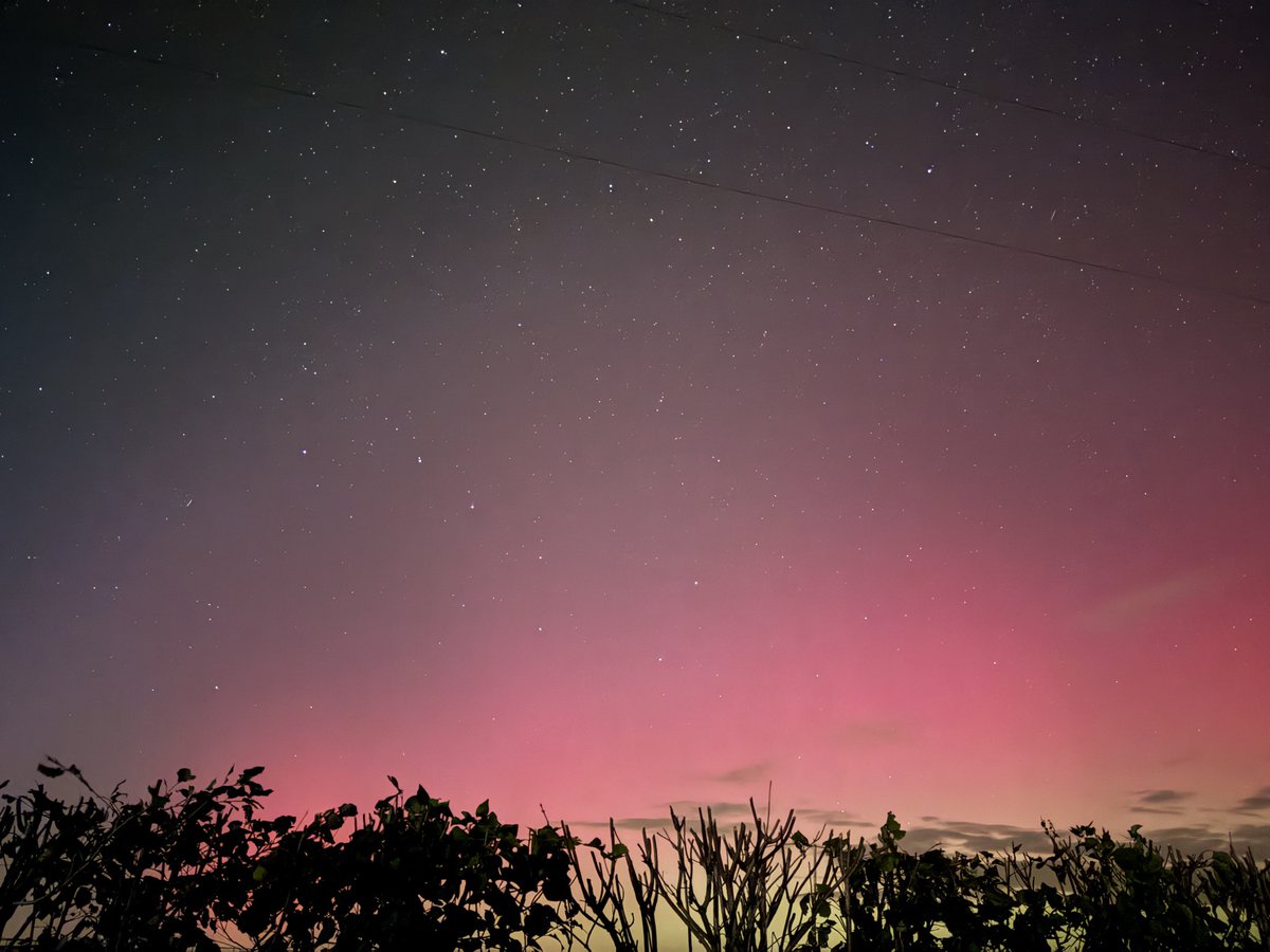 damienB86's tweet photo. #auroresboréales bien visible ce soir dans la #vienne. Magnifique spectacle
@Bleu_Poitou @F3PoitouChtes @KeraunosObs @meteofrance @infoclimat #aurora https://t.co/pZzNG5U1Nd