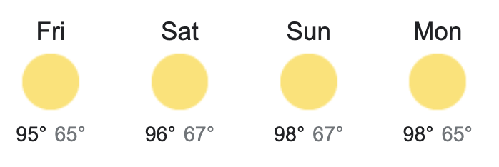 Rose Cahalan tweet media