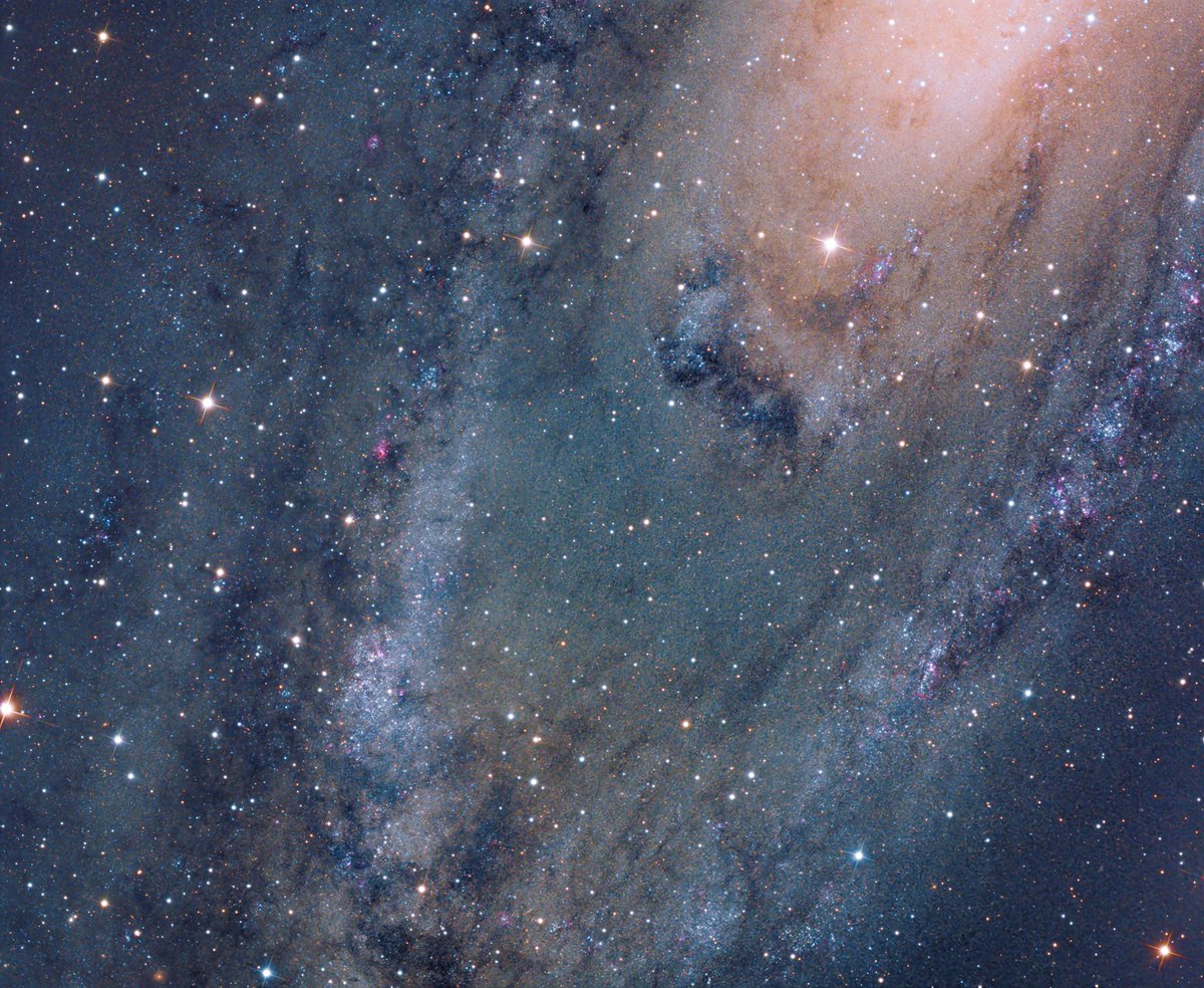 Andrew McCarthy tweet media