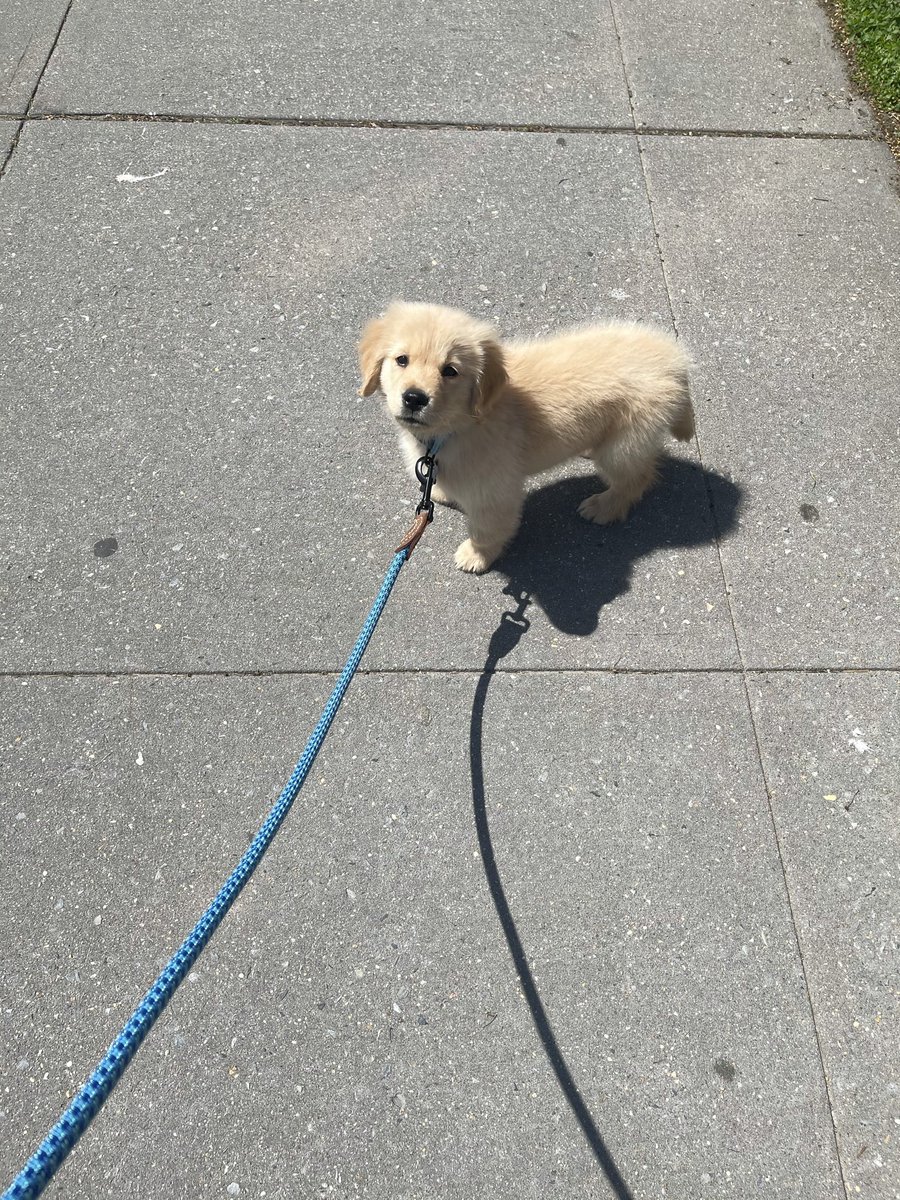 BeauNoseBones tweet media