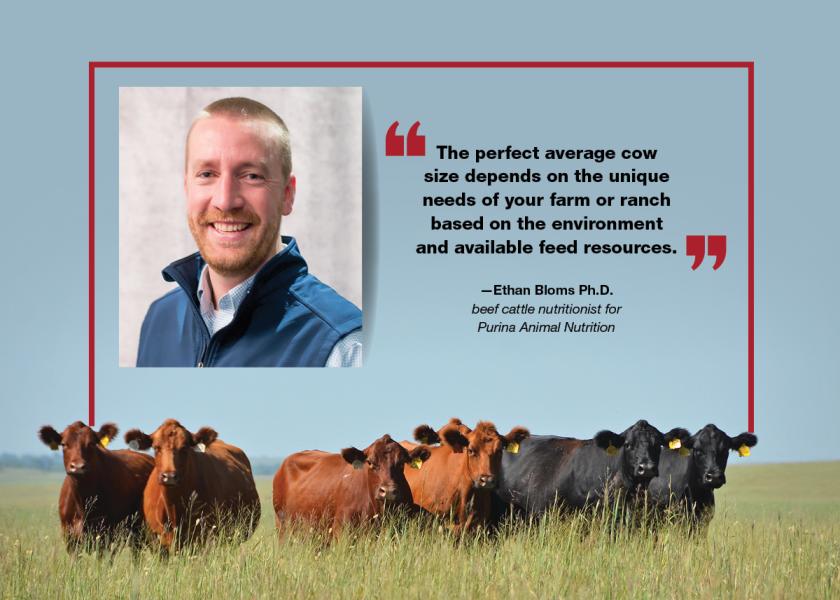 Producers should match cow size to their production goals.
#cowsize #beefproduction #cowcalf
drovers.com/news/beef-prod…