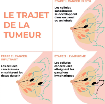 L'Encyclopédie tweet media