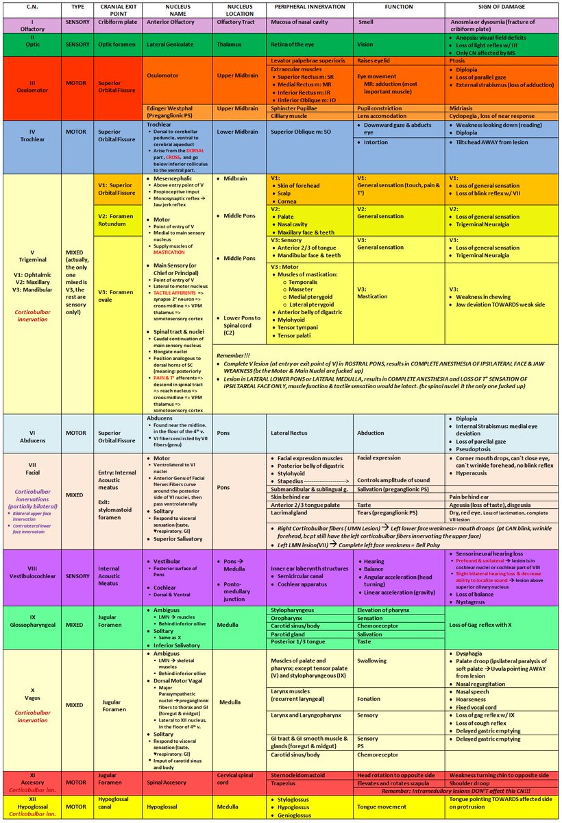 Cranial Nerve Gold