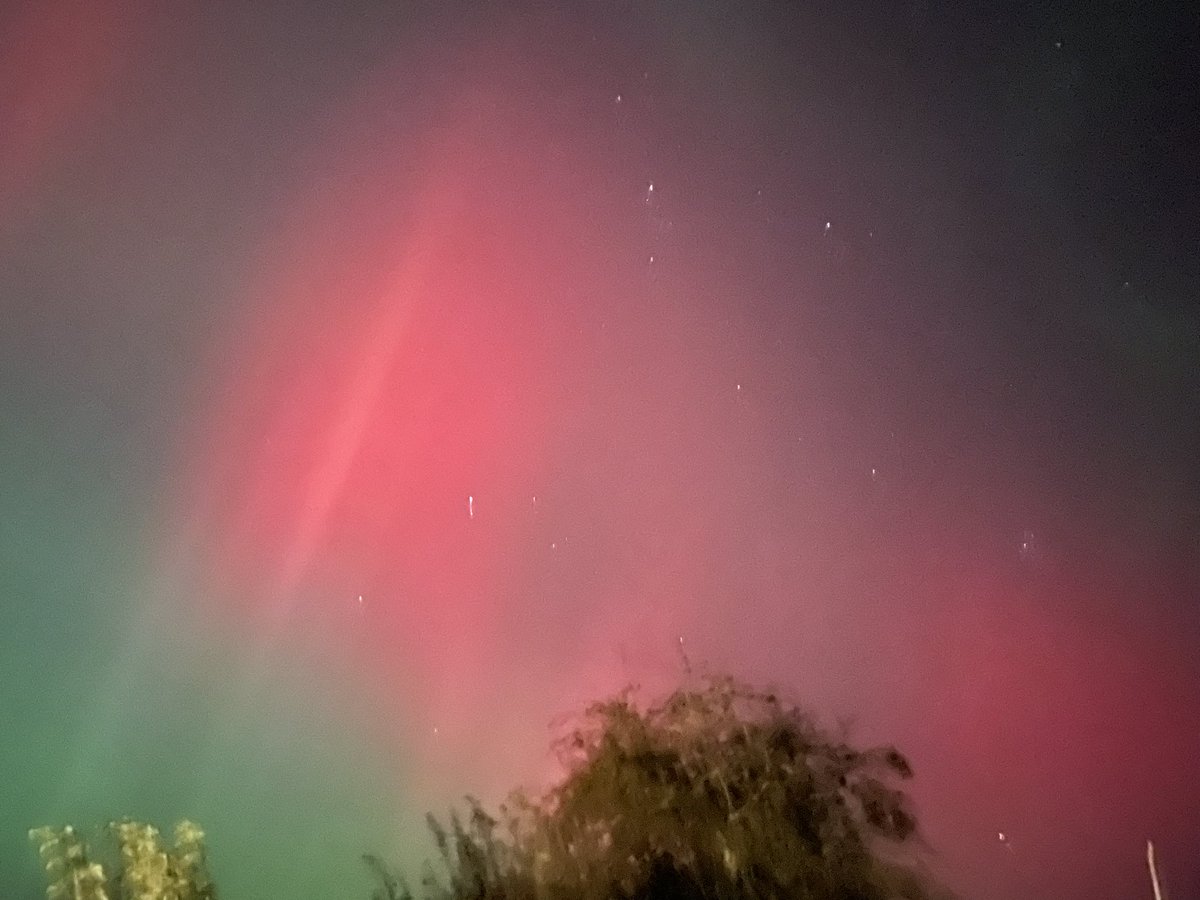 Ali Talbot tweet media