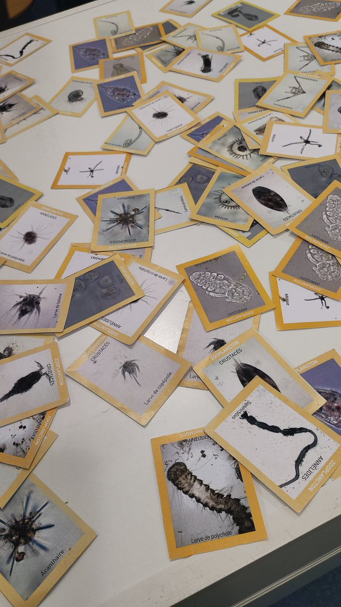 Descente au-dessous du niveau de la mer, là où l'on ne va jamais d'habitude... Merci aux équipes de la Cité de la mer pour cette journée de travail à de futures collaborations pédagogiques 
<a href="/EPMontStMichel/">Etablissement public du Mont Saint-Michel</a> 
<a href="/dsden50/">DSDEN 50</a> 
<a href="/daac_normandie/">DAAC-Normandie</a>