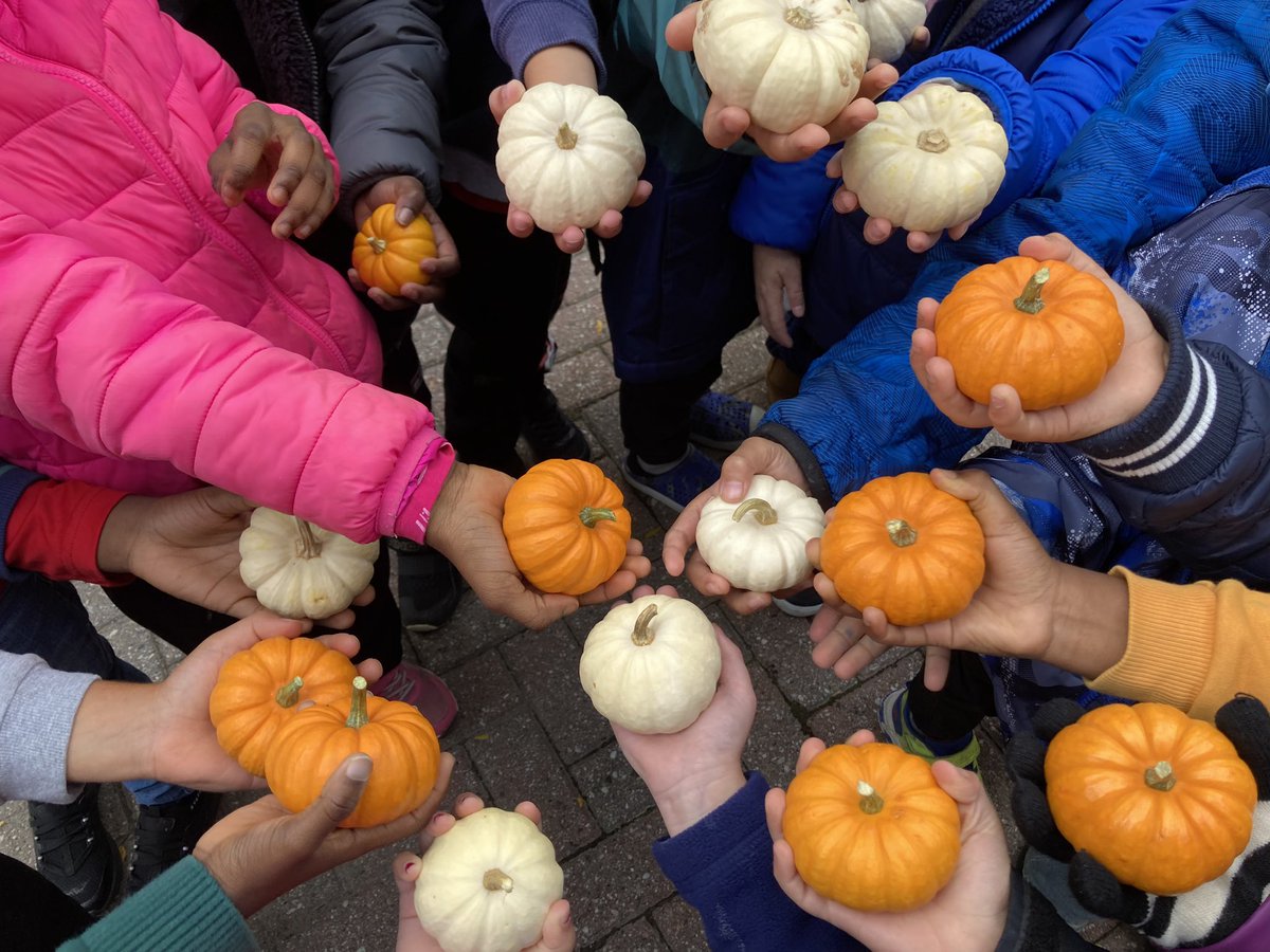 Ms. Casey (@mskcasey) on Twitter photo Wishing everyone a wonderful Thanksgiving and long weekend 🍂🧡🫶🏼<a href="/OLWisdomOCSB/">Our Lady of Wisdom School</a> #ocsbbecommunity #thanksgiving Wishing everyone a wonderful Thanksgiving and long weekend 🍂🧡🫶🏼<a href="/OLWisdomOCSB/">Our Lady of Wisdom School</a> #ocsbbecommunity #thanksgiving