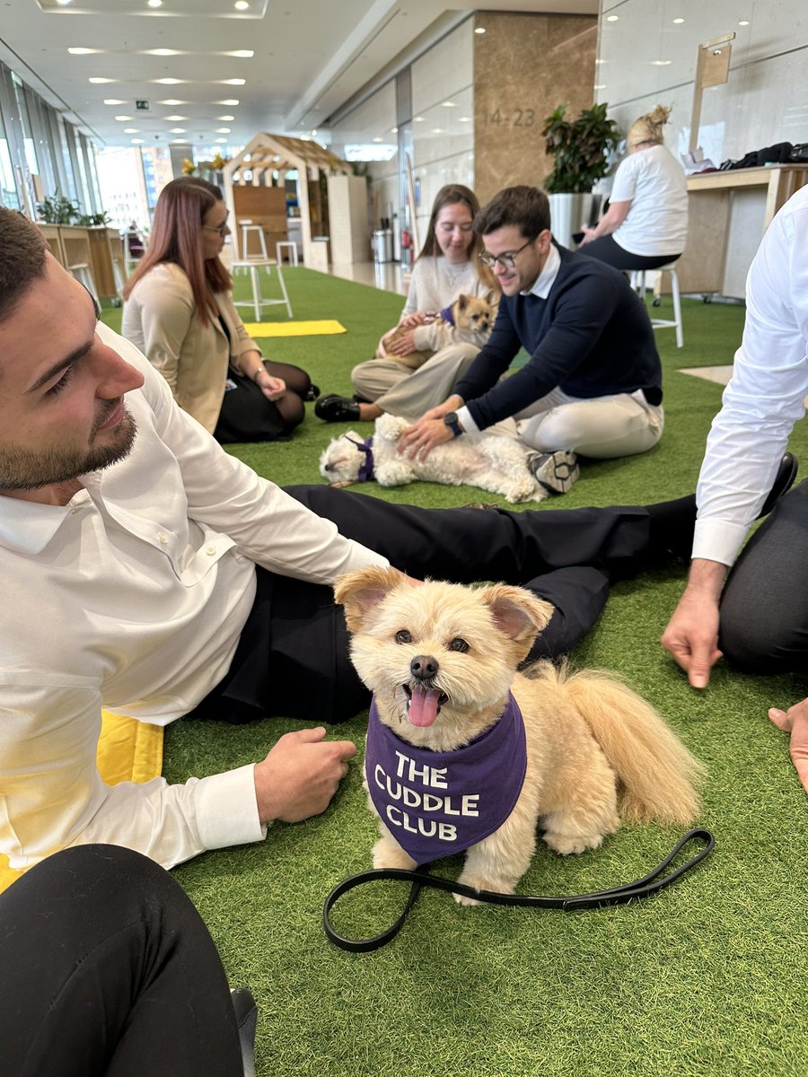 World Mental Health Day 
This last year has really shown me, through both my research and personal life, the positive impact that dogs can have on our mental health 💙