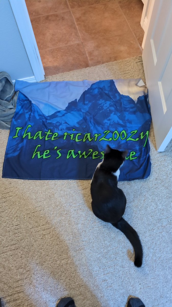 Network50_'s tweet image. Max just delivered this to me @Ricar2002YT