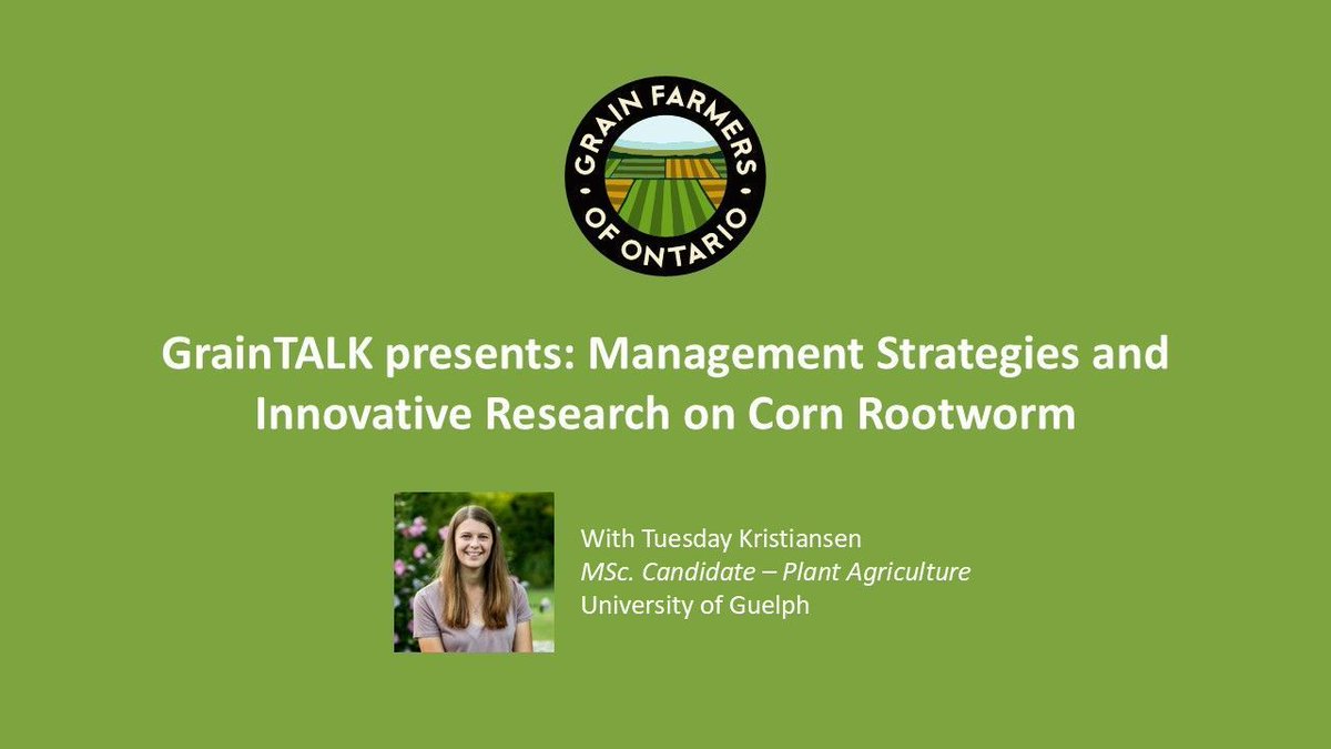Grain Farmers of Ontario (@grainfarmers) on Twitter photo Join MSc. Candidate, <a href="/tuesdayk10/">Tuesday Schroeder</a>, and Grain Farmers of Ontario staff in this new webinar. Kristiansen shares the lifecycle of corn rootworm, current tools, best management practices and her research on Entomopathogenic Nematodes to manage corn rootworm. buff.ly/4et5mhj Join MSc. Candidate, <a href="/tuesdayk10/">Tuesday Schroeder</a>, and Grain Farmers of Ontario staff in this new webinar. Kristiansen shares the lifecycle of corn rootworm, current tools, best management practices and her research on Entomopathogenic Nematodes to manage corn rootworm. buff.ly/4et5mhj