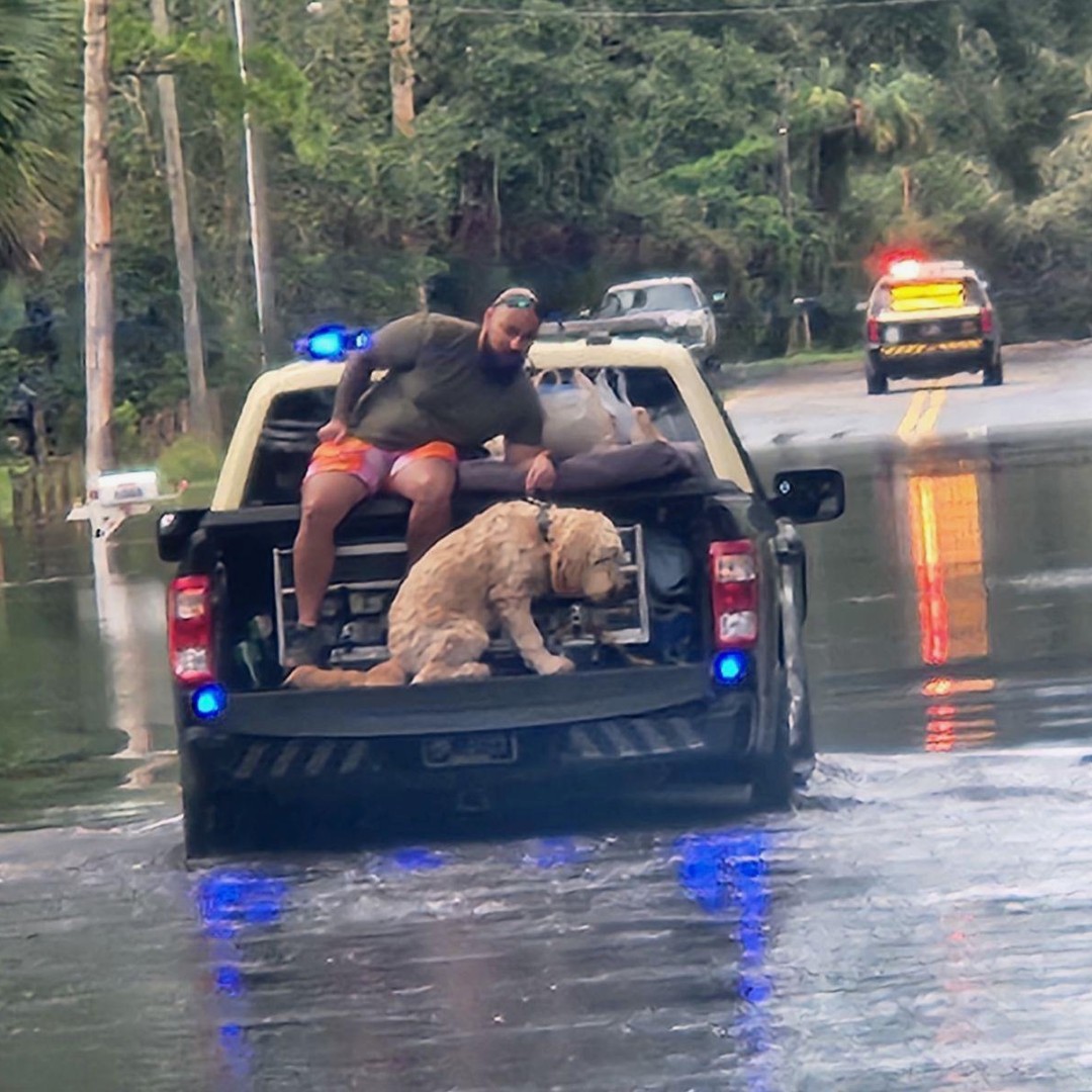FLHSMV's tweet photo. The Florida Highway Patrol continues to assist in Hurricane Milton recovery efforts.
#FHP #Florida #Hurricane #HurricaneMilton #HurricaneRecovery #EmergencyResponse #FloridaHighwayPatrol #FirstResponders #CommunitySupport #MiltonRecovery #dog #dogs https://t.co/Wz8m8PXCCE