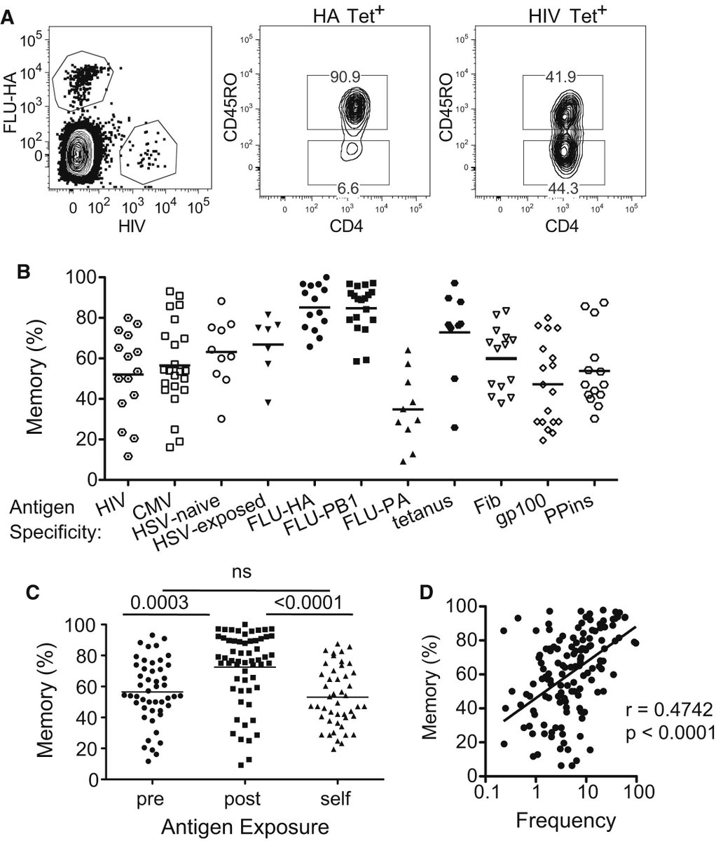 Continuing with #crossreactivity and #TCR Another paper that I #love We simply #cant #afford to have "#holes" in the #repertoire. Virus-Specific CD4  Memory-Phenotype T Cells Are Abundant in Unexposed... sciencedirect.com/science/articl…
