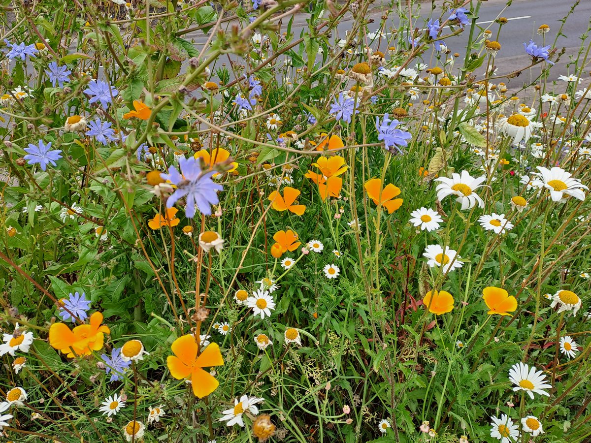 Our AGM is on Monday 21st October. Mostly its an opportunity to chat and share ideas, with the formal bits being short and sweet. Would be lovely to see you there.  fb.me/e/74OGiFzWM