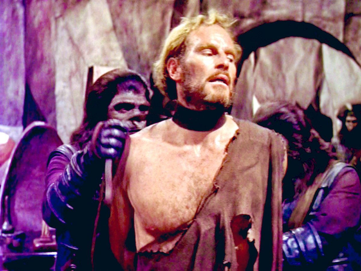 Amazing Pop Culture Podcast tweet media