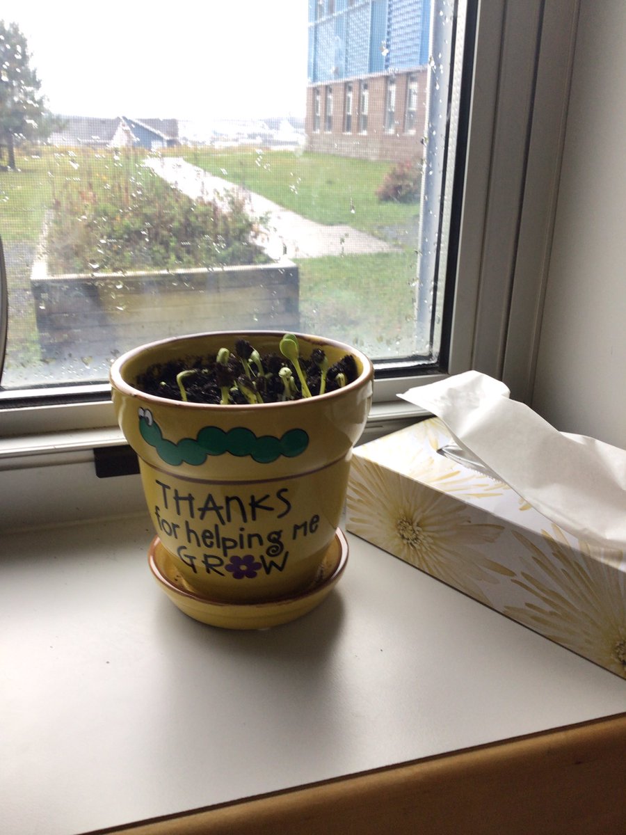 Last week we planted sunflowers 🌻 to symbolize our growth throughout this upcoming year. They started sprouting this week and we love checking on them to see how they’re growing 😊

@ElizabethParkEl