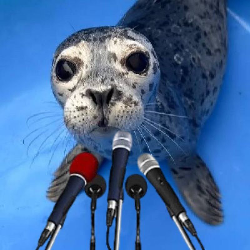 @Jeremyybtc #biscuit community for sure

Lets me show u biscuits community