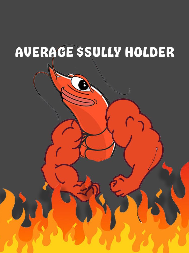 Sully tweet media