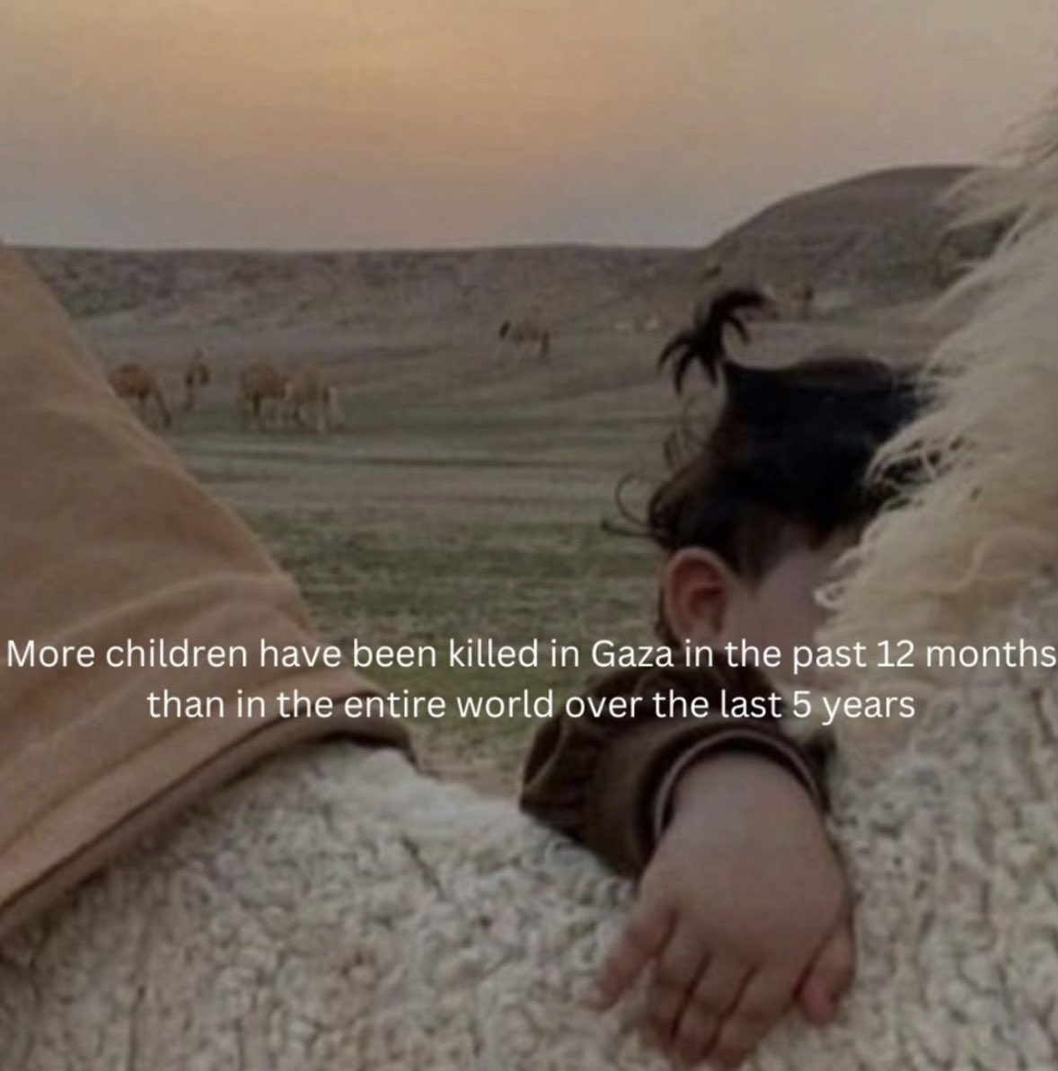 KNEECAPCEOL's tweet image. Stop these murdering c*nts now.

They aren’t defending themselves they’re slaughtering children.