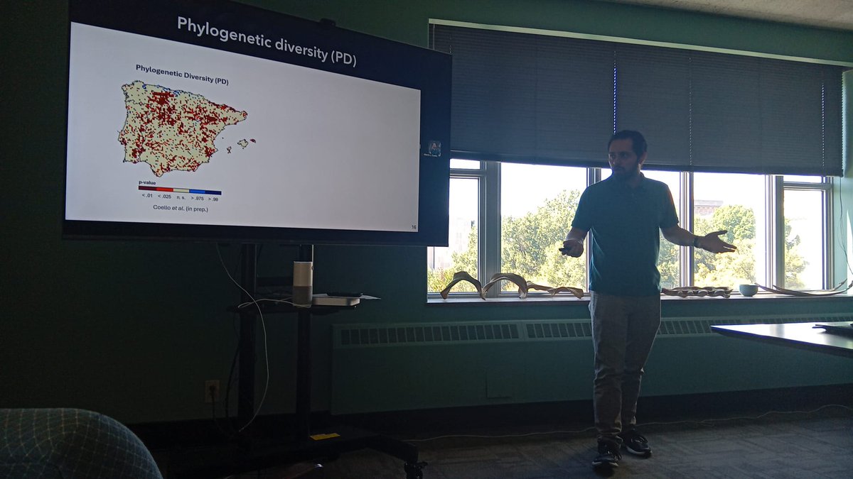 I am very grateful for the opportunity to present some results from Hispaphylo in the Botany department of the <a href="/NMNH/">Smithsonian NMNH</a> 

The next time will be with some results of the biogeography of Cissus