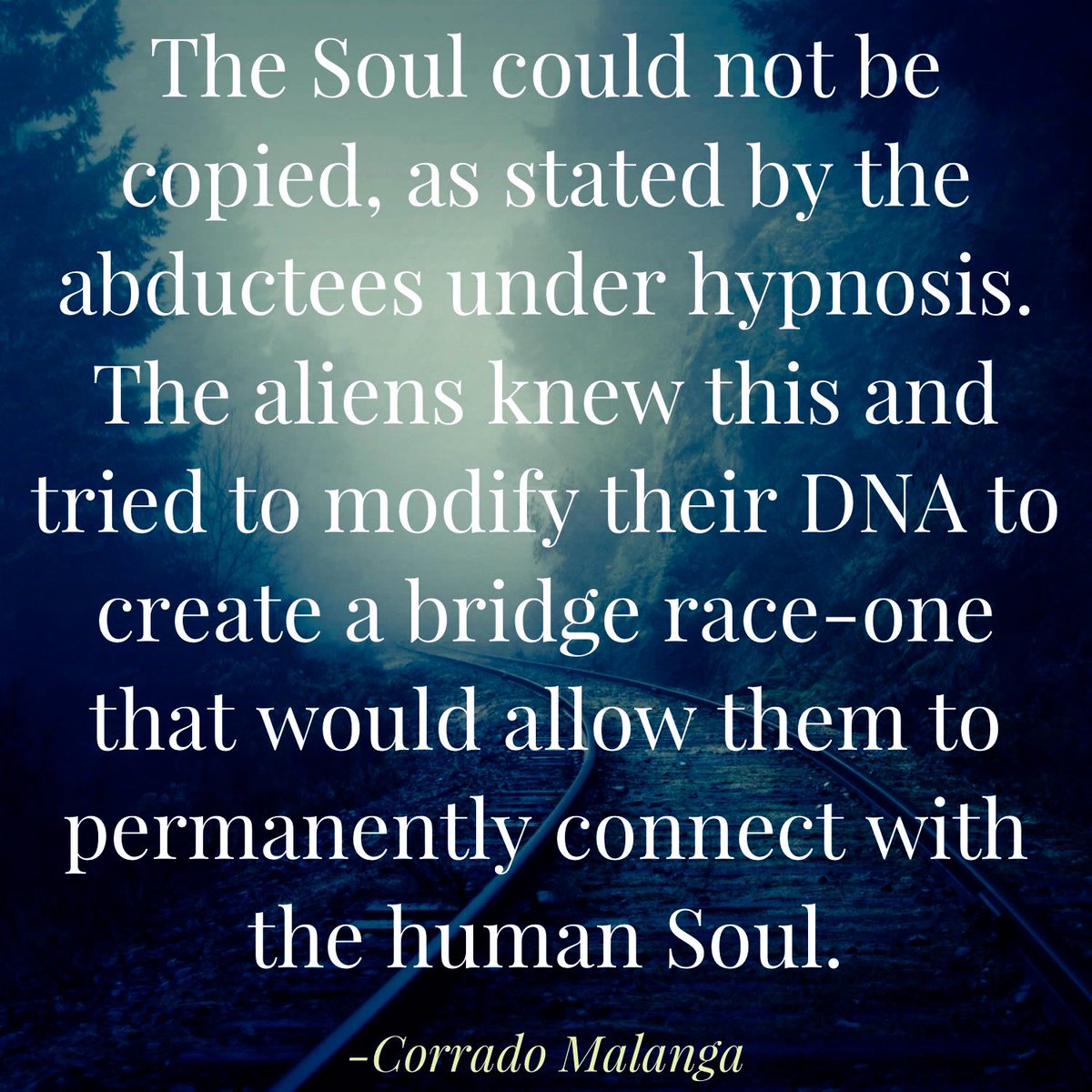 fringedotcom's tweet image. How did I (and many others) know, prior to coming across the abduction research and without hypnotic regression, that the &quot;aliens&quot; were trying to reverse engineer, hijack and/or trap our human souls? 

This is the purpose of the hybrids. Take it or leave it. #ufotwitter #uapx
