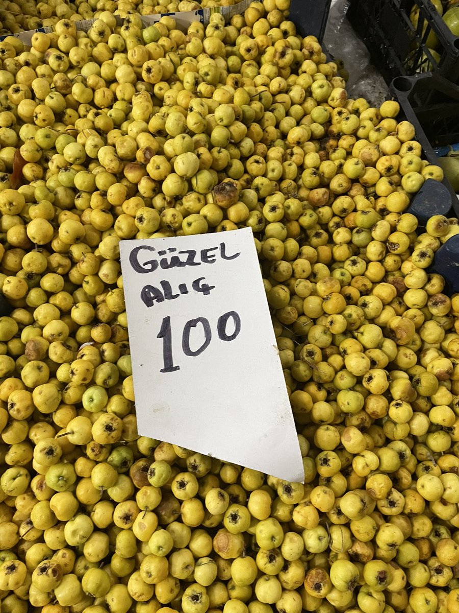 haticealicc's tweet photo. açıkçası biraz kırıldım https://t.co/8vcalywPmq
