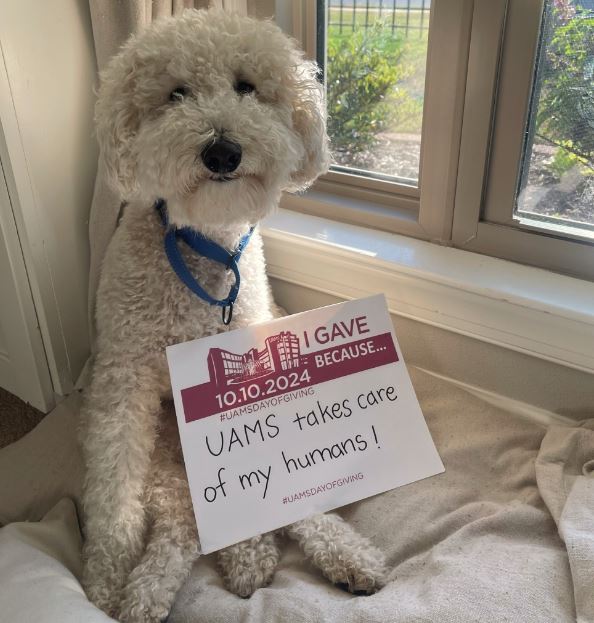 UAMS Alumni Association tweet media