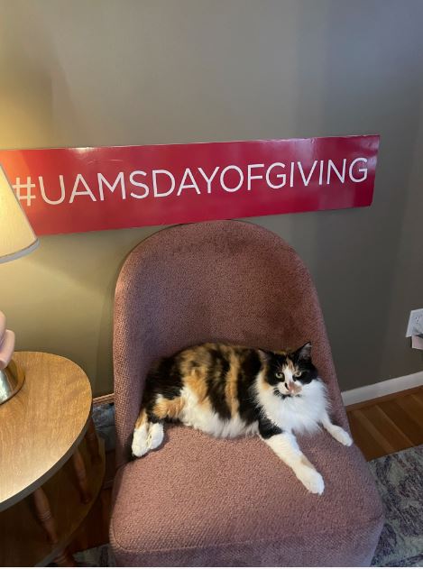 UAMS Alumni Association tweet media