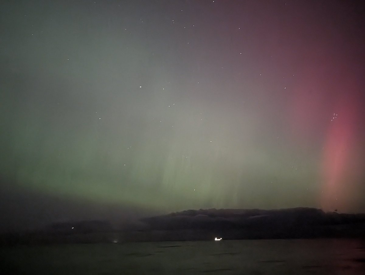 Peter O' Toole tweet media