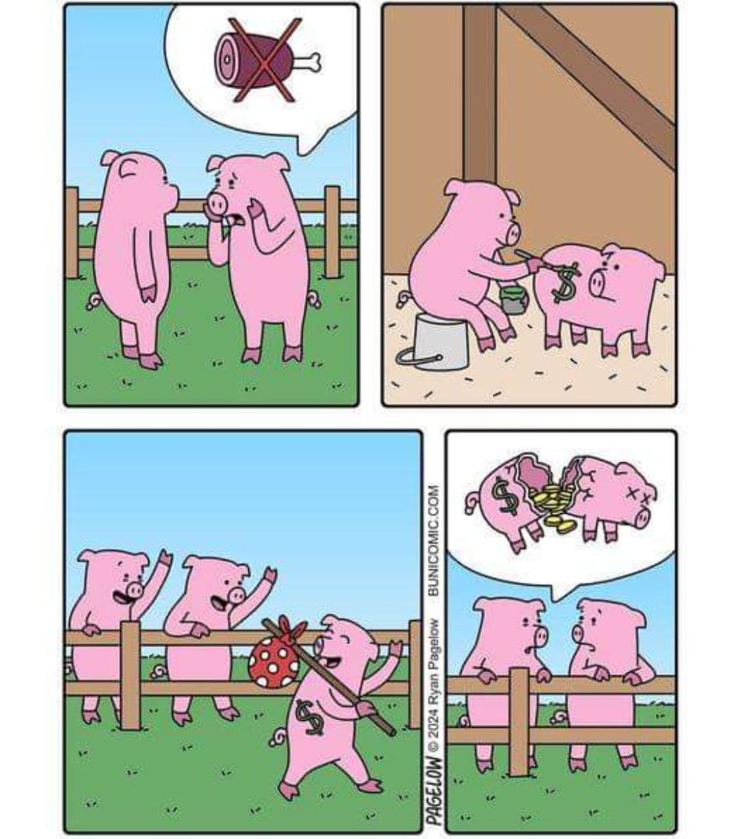 CAEDALPE's tweet image. #Pig #Destinity #Animation #BREAKING