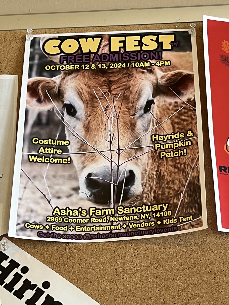 Jen 💚 tweet media