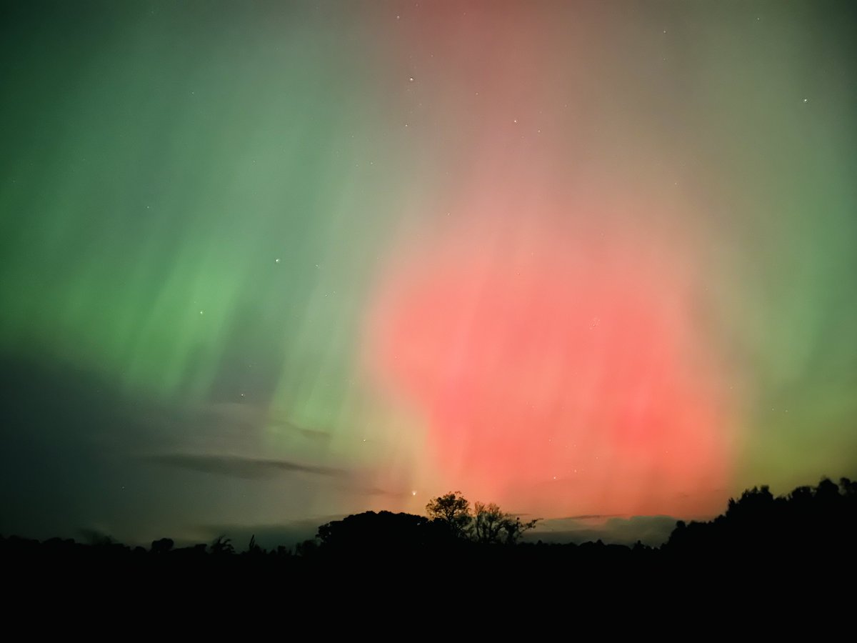 Neal Warnock tweet media