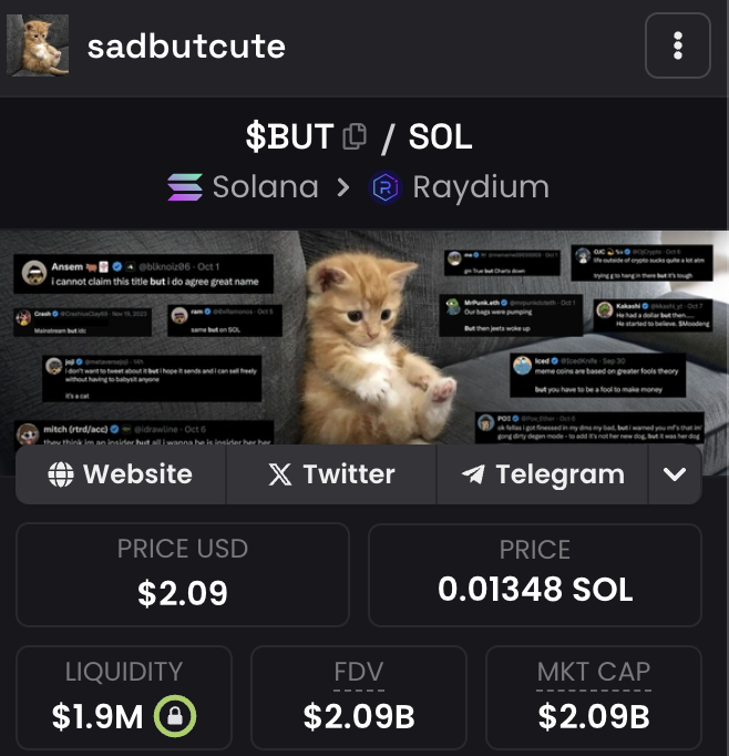 sadbutcoin's tweet photo. we are $wif best friend and we are coming to join him. https://t.co/LCN7bDxTMl