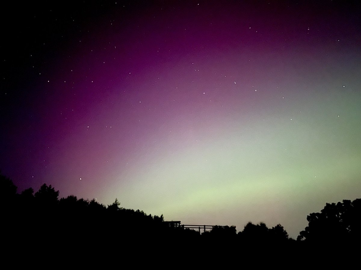 Newfold Year 5 tweet media