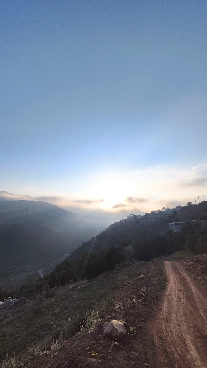 NaViiidiii's tweet image. رفرش 
#F5
#DeBug