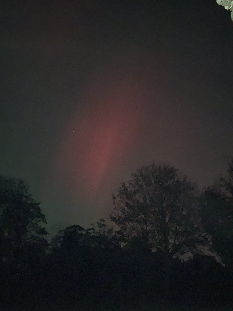 sandydavo's tweet photo. #northernlights https://t.co/TpY5GKQxck