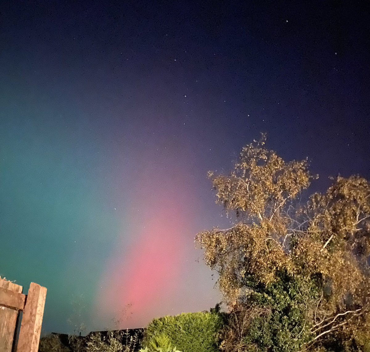 Alex Rees tweet media