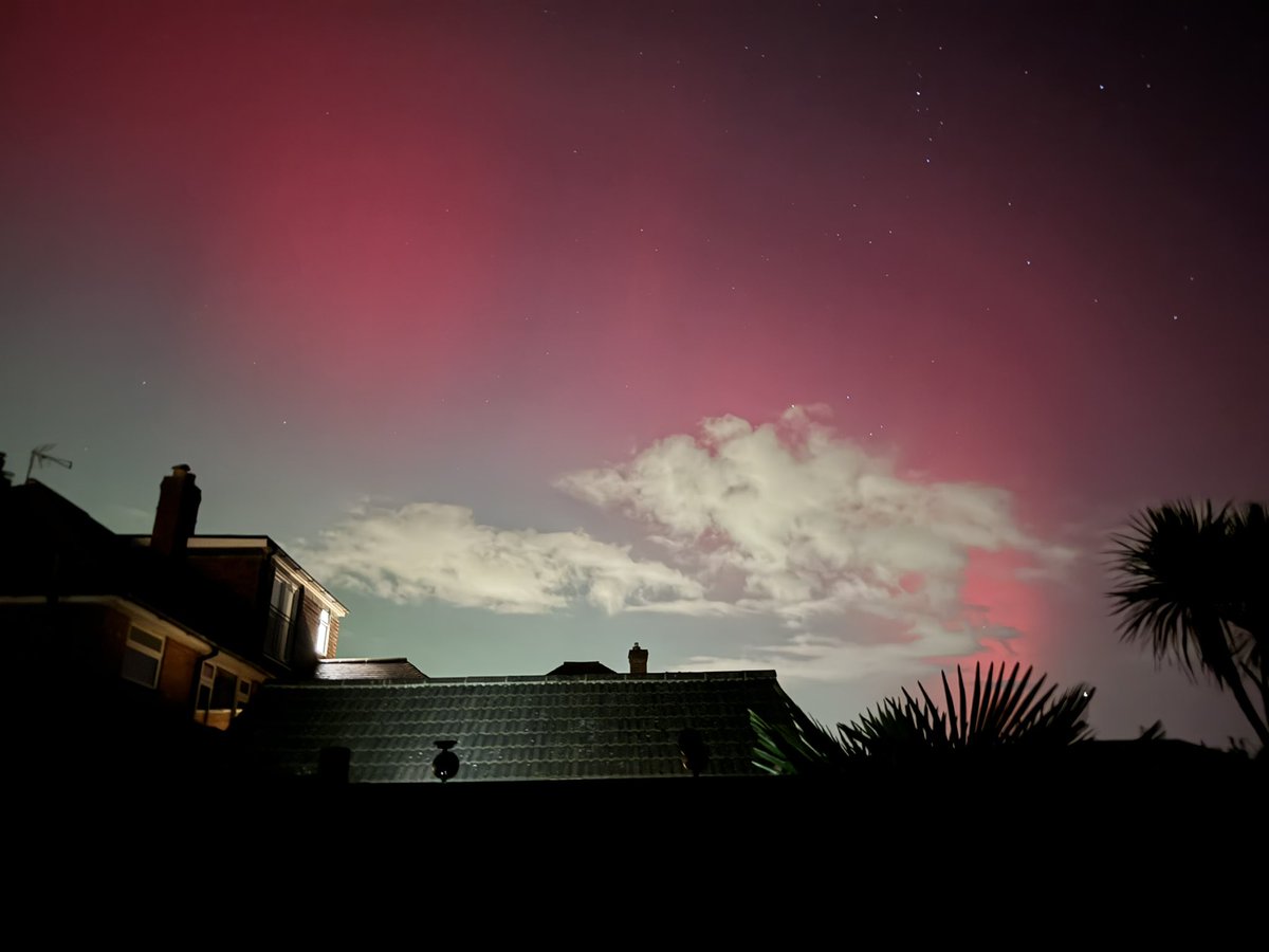 Ceridwen Eccles tweet media