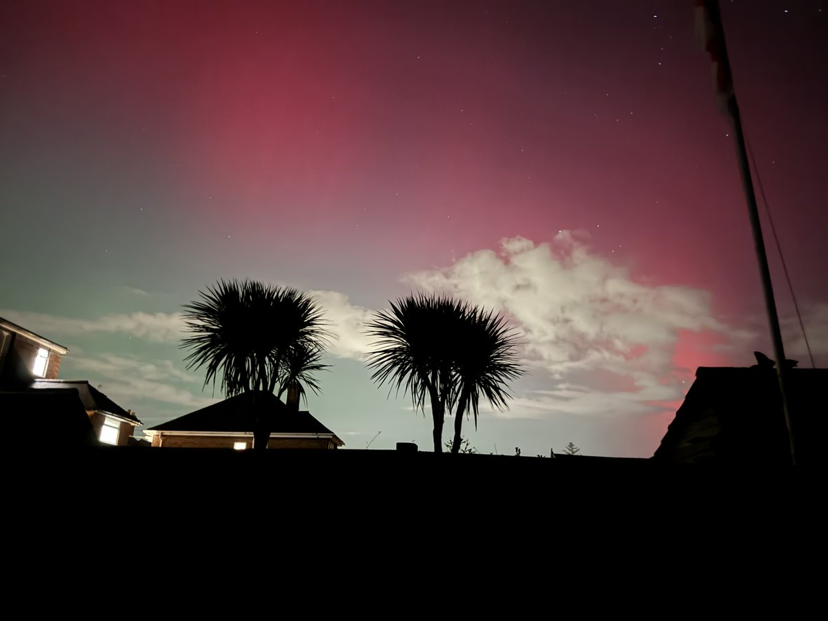 Ceridwen Eccles tweet media