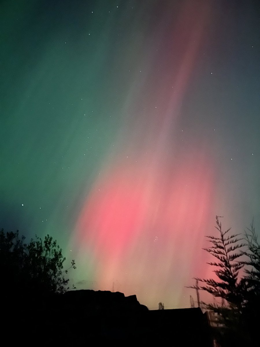 Tom Bennett OBE tweet media