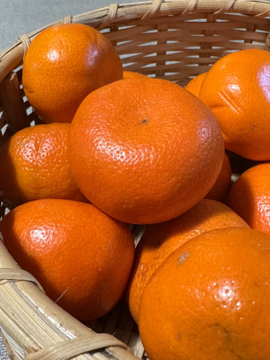 Shamsa Rehmani tweet media