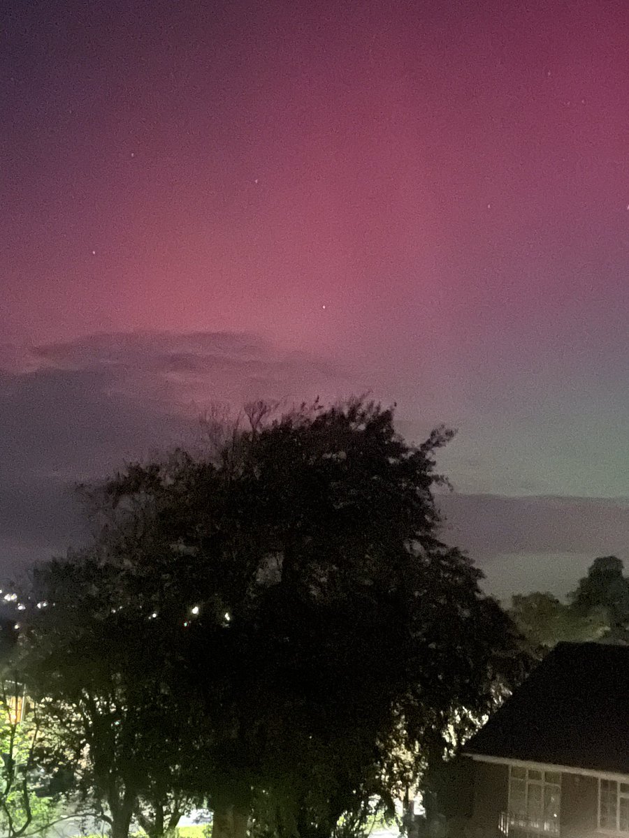 David Harrison tweet media